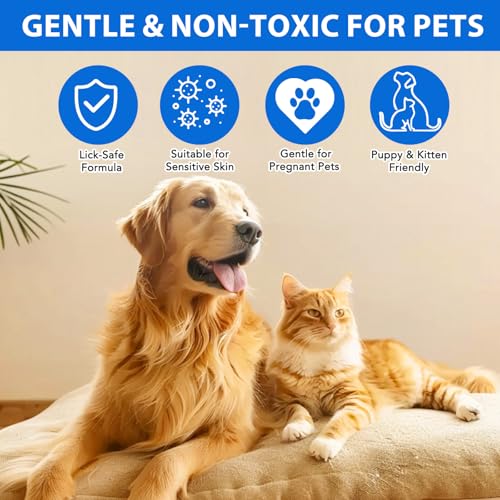 CiAIplw Haustier Wundspray, Wundpflege für Hunde & Katzen, Regeneration der Haut bei Wunden, Entzündungen und Irritationen, Narben- und Wundspray gegen Juckreiz & Kratzen, 120ML
