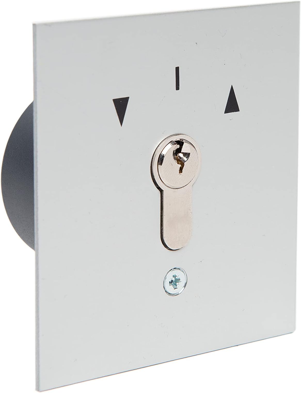 geba Garage Door Key Button Flush-mounted 2-sided Push Button US 1-2T/1 121.1301.1A, incl. DIN profile half cylinder and 3 keys, burglary resistant (European patented system), grey/anodised aluminium