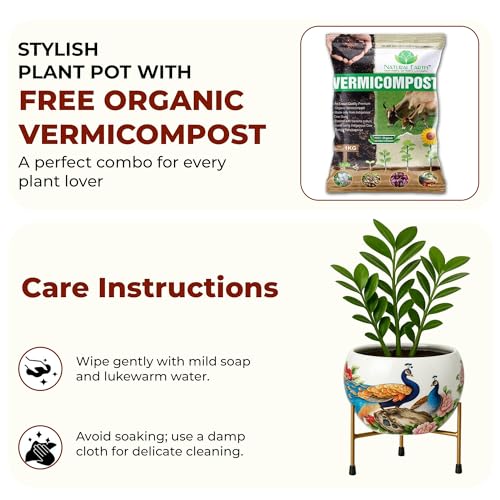 Image of Natural Earth Metal Flower Vase Planter Pot with Iron Stand | Decorative Plant Cachepot for Indoor & Outdoor Use | Succulent Pot for Home & Garden Decor (Charming Peacock)