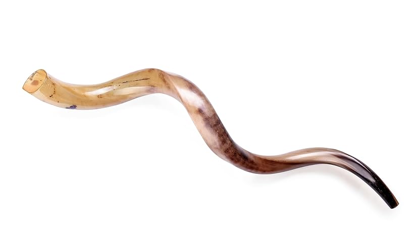 YOMTOV-SHALOM Kosher Kudu Shofar from Israel | Shofar's King | Size 34 inch (86 cm)