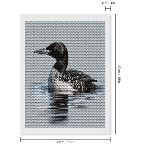 Pintura de puntos de diamante Loon Nature Bird para decorar el salón de casa con arte DIY 2