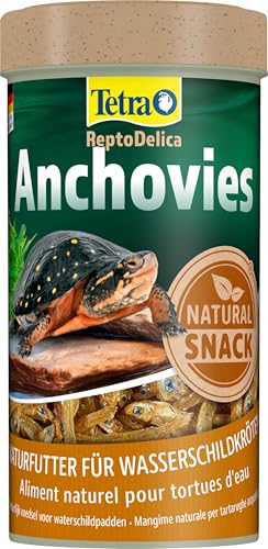 ReptoDelica Acciughe Turtle Food - Mangime naturale al 100% a base di piccoli pesci essiccati, lattina da 250 ml
