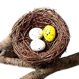 Artificial Bird Nest, Bird Nest with Artificial Bird Eggs, Country Style Simulation Twig Bird Nest f