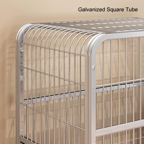 Cage pour chat grand parc intérieur chien blanc double