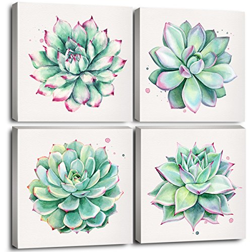 Suculents Wall Art Decor Simple Life Bathroom Artwork Canvas Prints 12x12 Inch 4