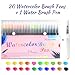 CH HAICHENG 20 Colors Watercolor Markers Brush Pen, Watercolor Brush Markers for Adult Coloring Books Manga Comic