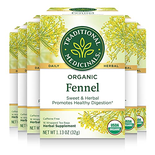 Traditional Medicinals Organic Fennel Tea, 16 Tea Bags (Pack of 6)