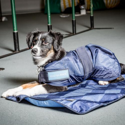 Dog Copenhagen Back-on-Track Erfrischender Anti-UV-Kälzmantel für Hunde, 50 cm, Blau