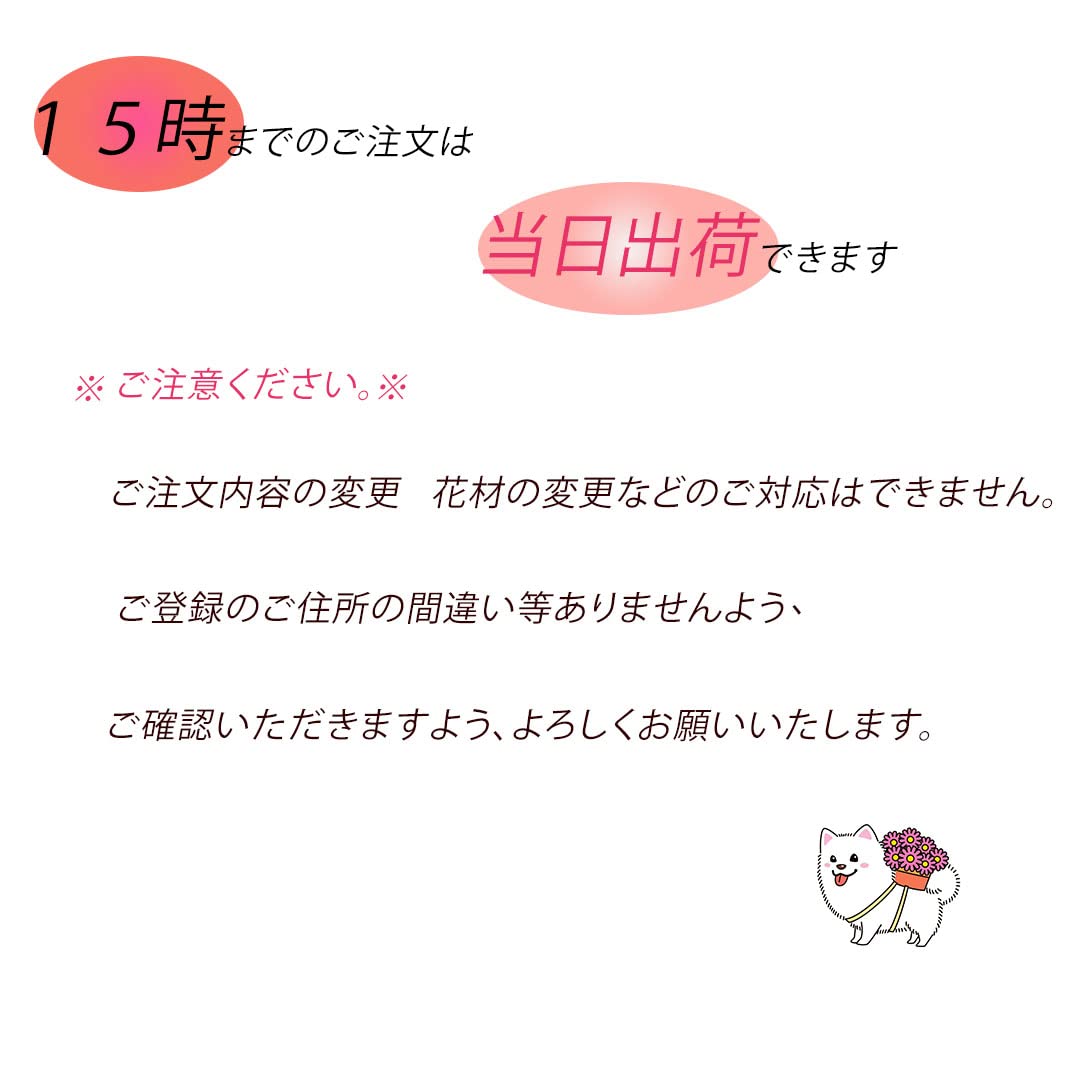 かすみ草 様♡ AZONE INTERNATIONAL::えっくす☆きゅーと