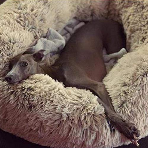 GDDO Premium Orthopädisches Haustierbett für große und extra große Hunde,Donut Hundebett Weiches Plüsch Rundes Hundesofa mit Wasserfeste Unterseite,Hundekörbchen waschbar (90cm)