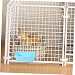 EXHUMKY 10St Pet erhöhter Hundenapf Slow Feeder Hundenapf Futterstation für Hundenäpfe hundezubehör hundefutter Tierfutterbehälter praktischer Kätzchennapf pp Sky-Blue