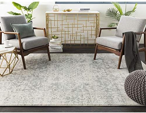 Janine Gray and Beige Updated Traditional Area Rug 5’3″ x 7’3