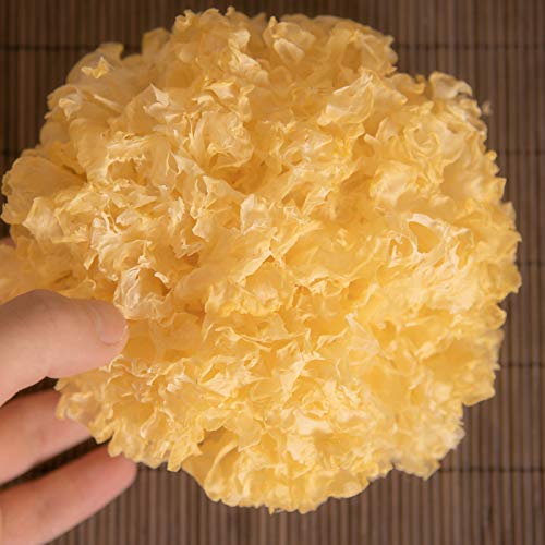 Fungo Tremella,Fungo della neve,Commercio all'ingrosso del fungo bianco,500g (0,5 kg)