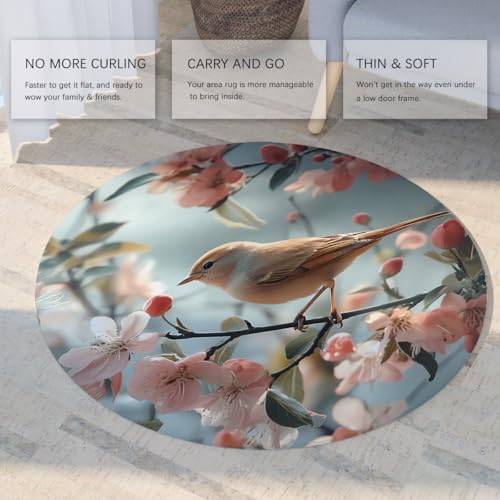 Tapis doux antidérapant mince rond 200cm résistant pour salon