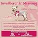 rabbitgoo Hundegeschirr Kleine Hunde, Step-in Welpengeschirr Weich Mesh für Spaziergänge, Atmungsaktives und Reflektierendes Brustgeschirr für Kleine und Mittelgroße Hunde, Rosarot, XS
