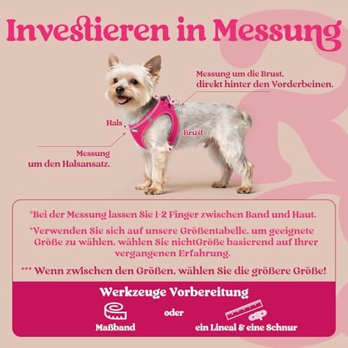 rabbitgoo Hundegeschirr Kleine Hunde, Step-in Welpengeschirr Weich Mesh für Spaziergänge, Atmungsaktives und Reflektierendes Brustgeschirr für Kleine und Mittelgroße Hunde, Rosarot, XS