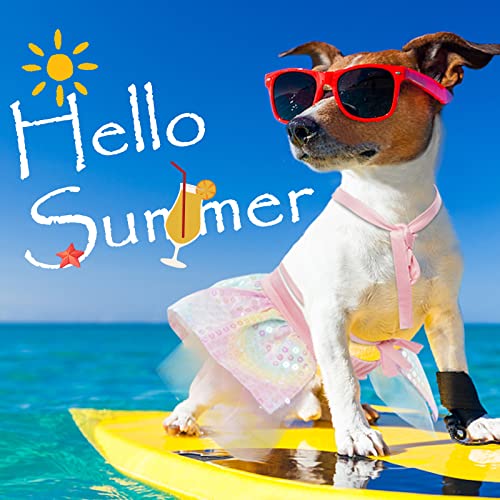 Duojoy Dog Bikini Dress With Sequins&Chiffon, Mermaid Colorful Puppy Beach Swimsuit, Small Medium Doggie Cat Summer Bathing Suit, Dog Tutu Dresses Pet Stylish Clothes Costume For Pool-M #TOP4