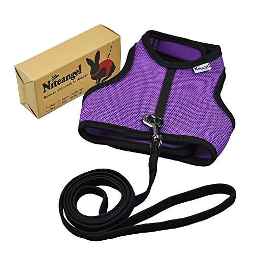 Image of Niteangel Adjustable Soft Harness with Elastic Leash for Rabbits (XL, Purple)