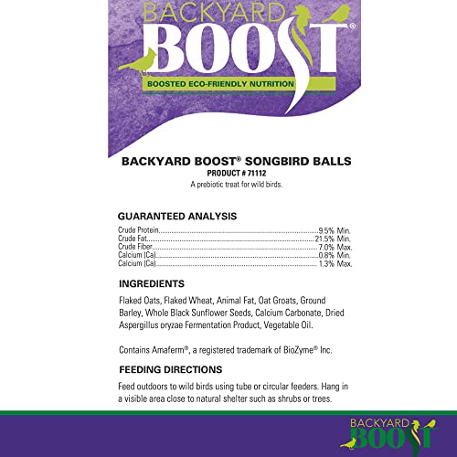 Backyard Boost Songbird Balls - Bird Food For Outside Wild Birds - 1.3.Pounds (Pack Of 6) #TOP5
