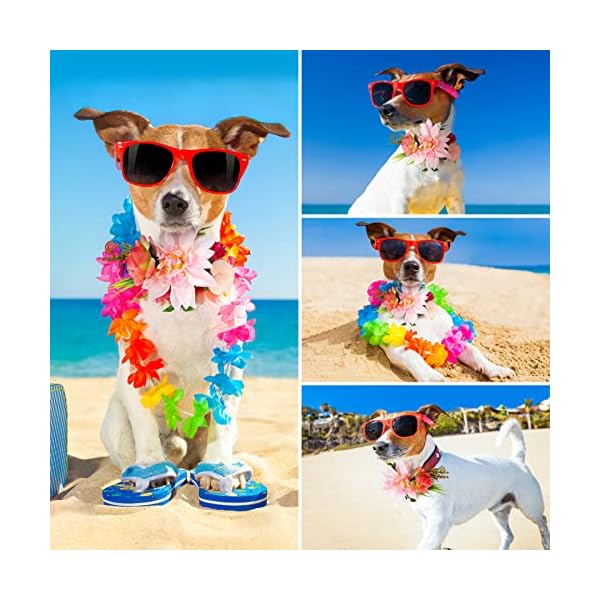 Popetpop dog flower headband pet flower crown headwear flower leaves natural wreath for dog cats wedding decor - image 9