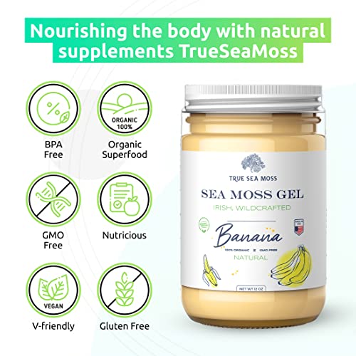 Trueseamoss Wildcrafted Irish Sea Moss Gel – Nutritious Organic Raw Seamoss Rich In Minerals, Proteins & Vitamins – Antioxidant Health Supplement, Vegan-Friendly Made In Usa (Banana, Pack Of 2) #TOP3