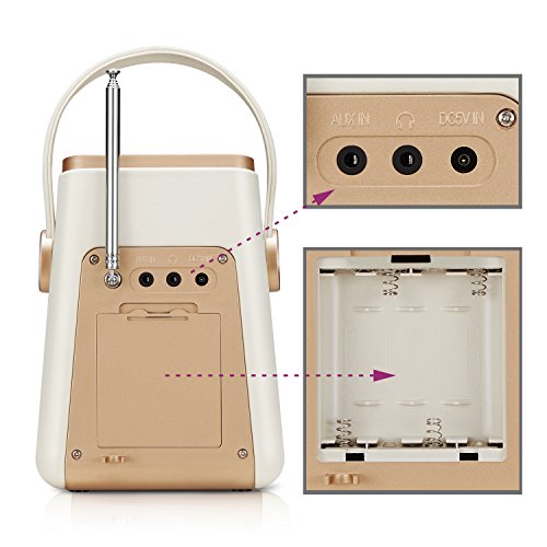 Ueme Mini Radio Digitale DAB + DAB e FM Radio con