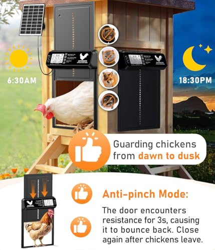 Porta de galinheiro automática movida a energia solar para aves domésticas