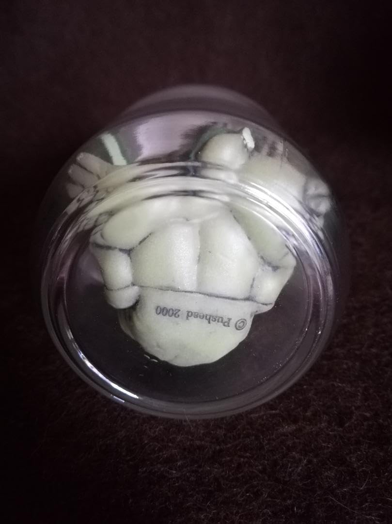 FEWTURE MODELS JAR OF PUS（蓄光） PUSHEAD