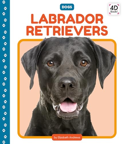 Labrador Retrievers (Dogs)