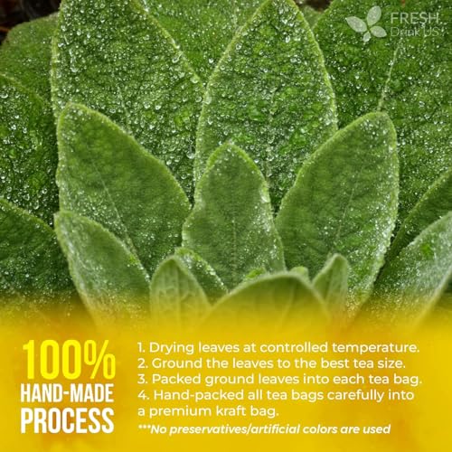 Image of FreshDrinkUS, Premium 120 Mullein Leaf Tea Bags For Lung, 100% Natural & Pure from Mullein Leaves. Loose Leaf Mullein Herbal Tea. Made with Natural Material Tea Bags. No Sugar, No Caffeine, No Gluten, Vegan.