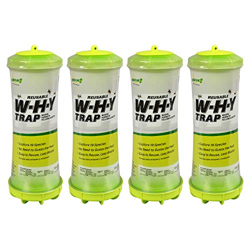 RESCUE! WHY Trap for Wasps, Hornets, & Yellowjackets – Hanging