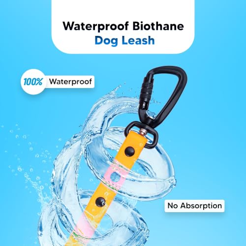 Image of Adil's Biothane Waterproof Dog Collar, Dog Leash & Collar Leash Combo | Heavy Duty TPU Coated Webbing | Adjustable Quick Release Buckle | Odour Resistant (Orange, M-18, Leash Only)