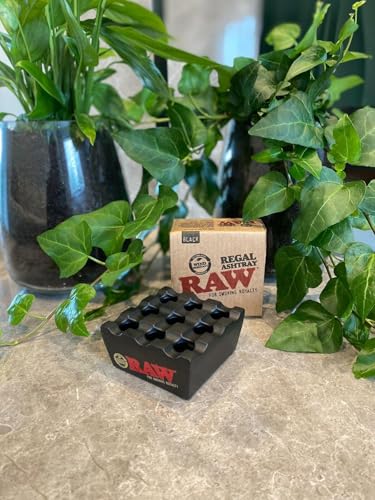 RAW - Regal Metall Aschenbecher - Schwarz - 1 Stück