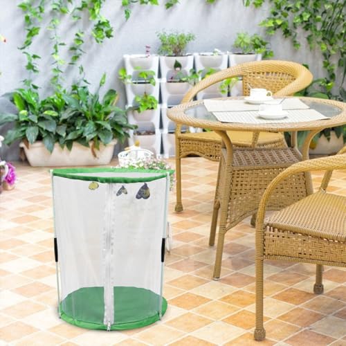 Caja de observación de insectos con malla transpirable para exploración infantil 5