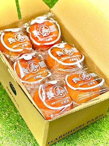 ypzÉY Y` yYzPO`PSʔ