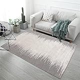 Deko Teppich Einfach Zu Pflegen Minimalistisches Graues Abstraktes Design Mit Farbverlauf Schlafzimmer Teppiche Flur Sofa Matte Kinderzimmer Schlafzimmer Teppivh 200X300cm
