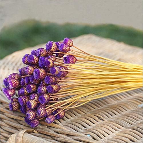 AESTHING Natural Dry Flowers Happy Flower Bundles-Flowers Bouquet for Wedding DIY Home Party 1 Bundle 50pcs Pack (Purple)