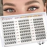 Short Cluster Lashes Clear Band 10-12-14MM Natural Lash Clusters Wispy Individual Eyelashes NO MAKEUP CD Curl Fairy Eyelash Clusters Wispy Lashes Individual Cluster Natural Lashes 144Pcs by Zegaine