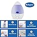 Bolegner Multi-Color Cool Mist Ultrasonic Humidifier, Aroma Essential Oil Diffuser, Whisper Quiet “No Noise” 1.3 Liter Tank Works All Night, Waterless Auto Shut-Off, Cozy Cool 7 Color LED Lights