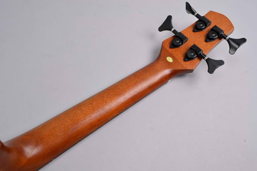 【中古品】ウクレレベース Aria AUB-CE/FL 138223.jpg