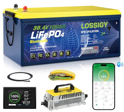 LOSSIGY 36V 100Ah