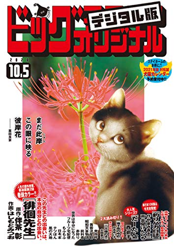 ビッグコミックオリジナル 2020年19号(2020年9月19日発売) [雑誌]
