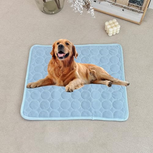 ���p�N�b�V���� �y�b�g�x�b�h�}�b�g �_�炩���z�M���n �􂦂�h�� �y�b�g���X�g�p ���C�g�u���[ 28"×22"