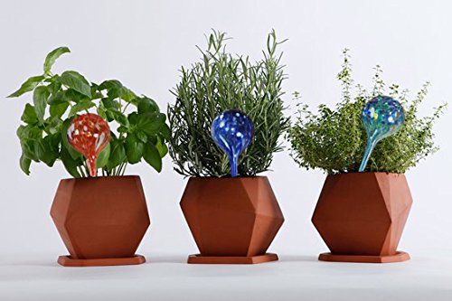 5Starsuperdeals Aqua Plant Watering Globes - Automatic Watering Ball Bulbs - Self Watering Plant Glass Bulbs System (16, Small) #TOP3