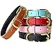 PET ARTIST Pink Leather Dog Collar for Medium Dogs
