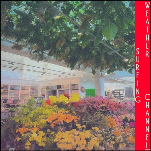 Night in the Orangery