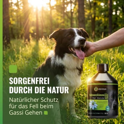 Kräuterland Schwarzkümmelöl für Hunde 500ml Kaltgepresst & nativ