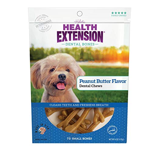 Get Healthier and Happier Pups with the Top 10 Health Extension Dog