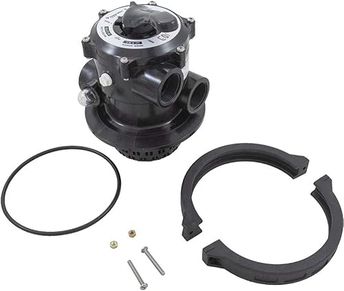 Pentair 261186 Reemplazo de válvula para sistemas de filtro Waterford