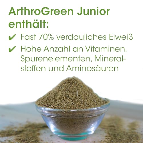 cdVet ArthroGreen Junior 25g – Ergänzungsfuttermittel für Hunde und Katzen mit Grünlippmuschel und Kräutern